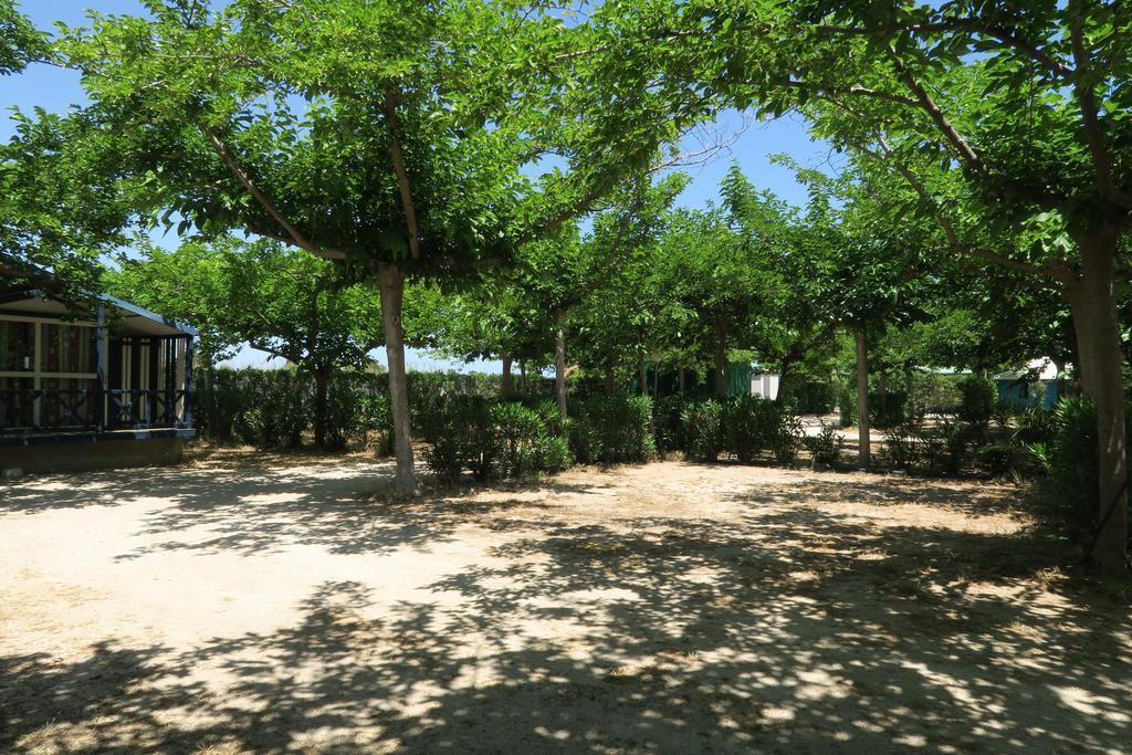 Camping Azul 올리바 외부 사진